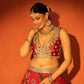 Red Floral Lehenga with Mirror-Work Blouse and Placement Dupatta